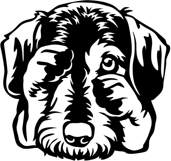 Aufkleber Dackel Kopf