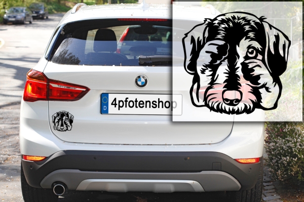 Autoaufkleber "Dackel (Rauhaar)" Kopf