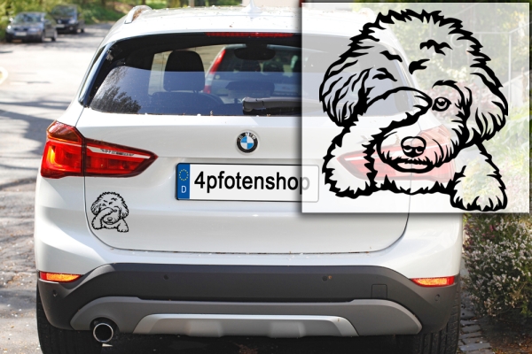Autoaufkleber "Bologneser" Kopf