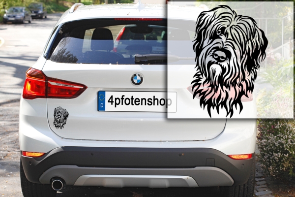 Autoaufkleber "Briard" Kopf