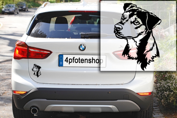 Autoaufkleber "Brasilianischer Terrier" Kopf