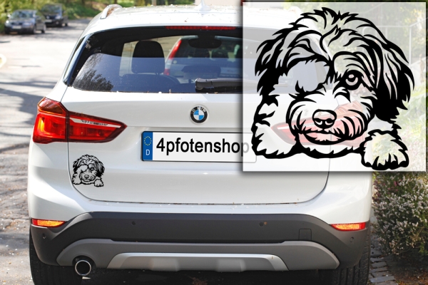 Autoaufkleber "Havaneser" Kopf