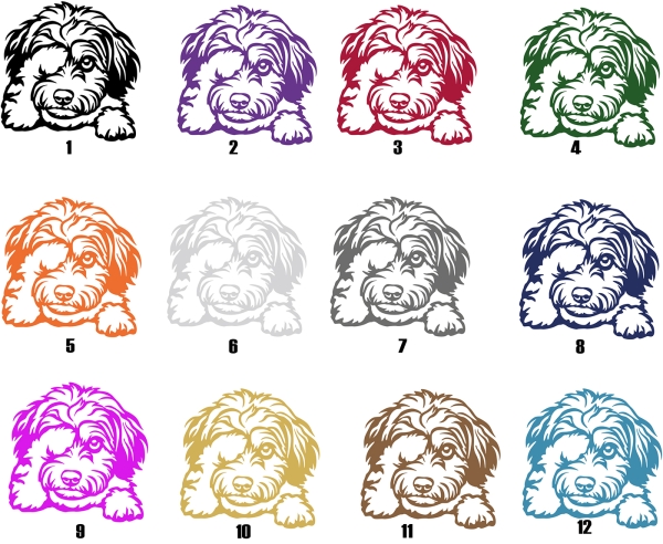 Autoaufkleber "Havaneser" Kopf