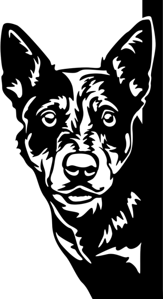 Aufkleber cattle dog Kopf