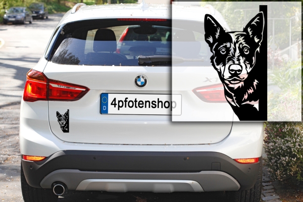 Autoaufkleber "Australian Cattle Dog" Kopf