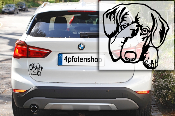 Autoaufkleber "Dackel (Kurzhaar)" Kopf
