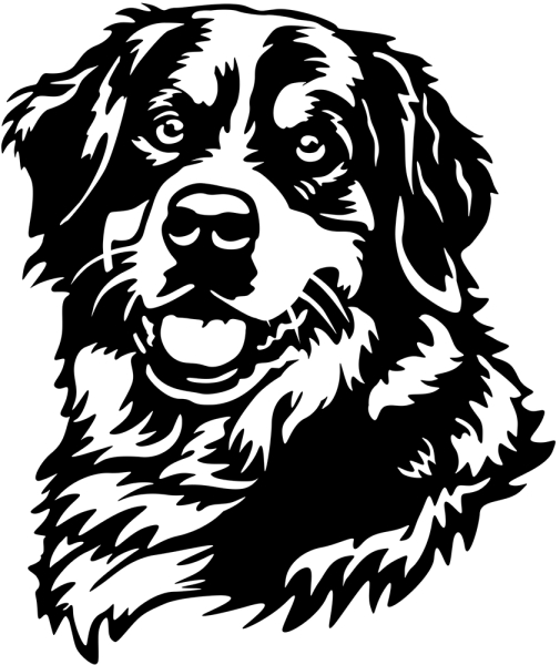 Aufkleber Berner Sennenhund