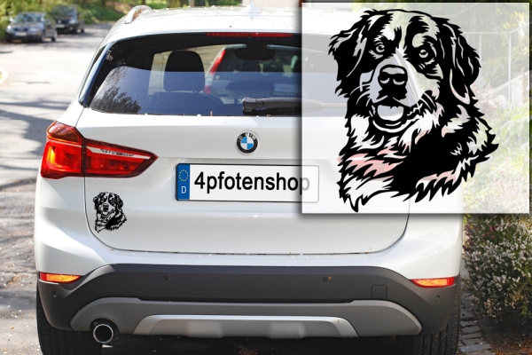 Autoaufkleber "Berner Sennenhund" Kopf