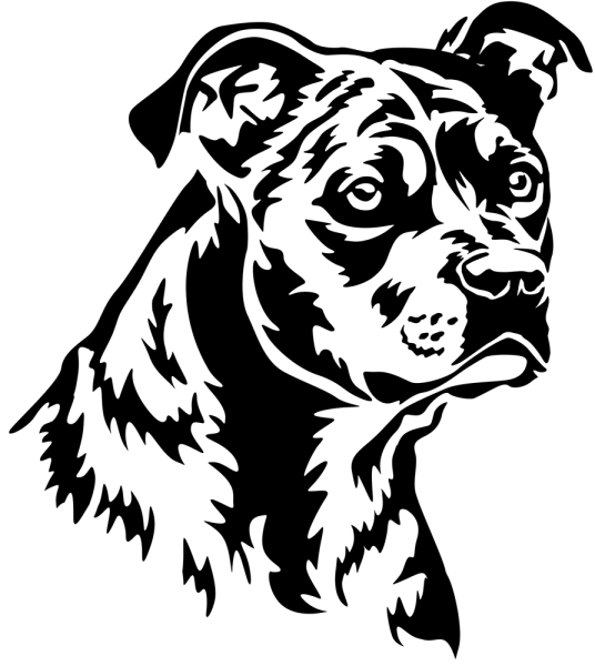 Aufkleber American Staffordshire Terrier Kopf