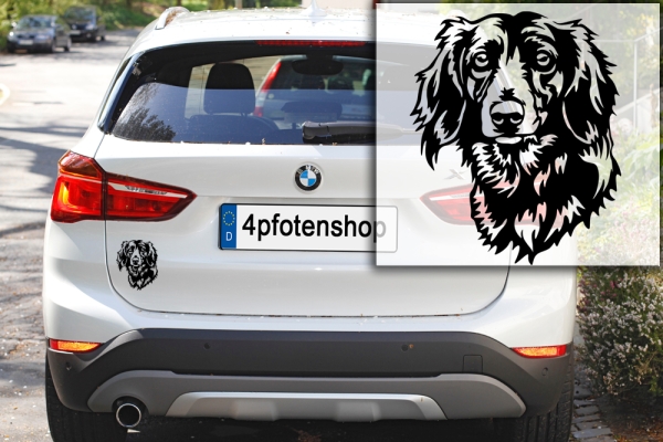 Autoaufkleber "Dackel (Langhaar)" Kopf