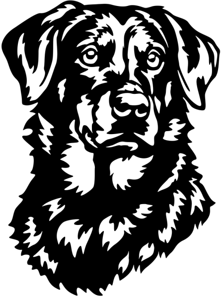Aufkleber Beauceron Kopf