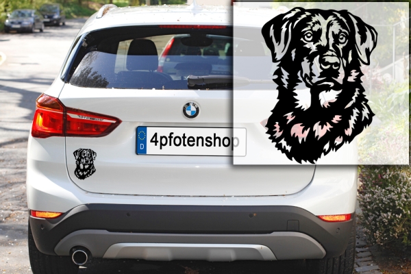 Autoaufkleber "Beauceron" Kopf