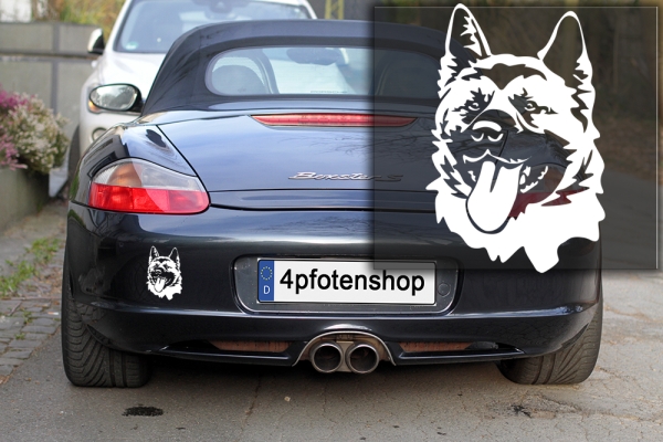 Autoaufkleber "American Akita" Kopf