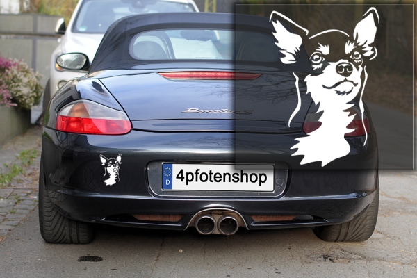 Autoaufkleber "Chihuahua" Kopf