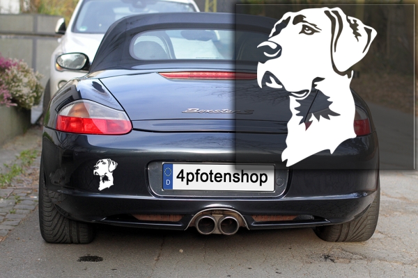 Autoaufkleber "Dogge" Kopf