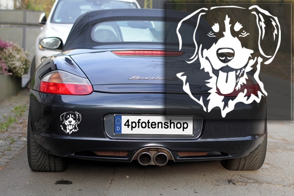 Autoaufkleber "Entlebucher" Kopf