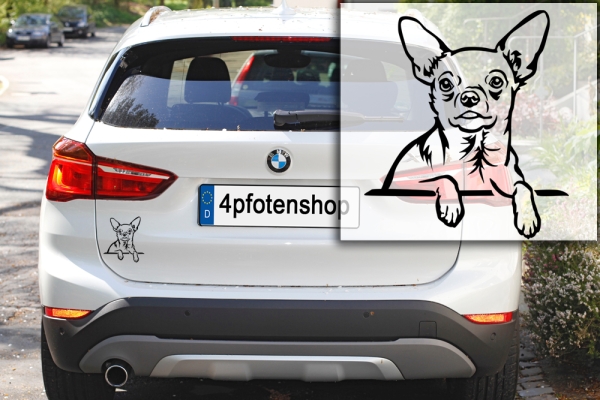 Autoaufkleber "Chihuahua" Kopf