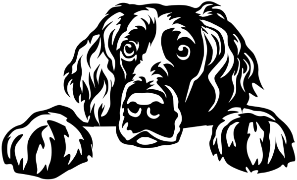 Aufkleber Boykin Spaniel