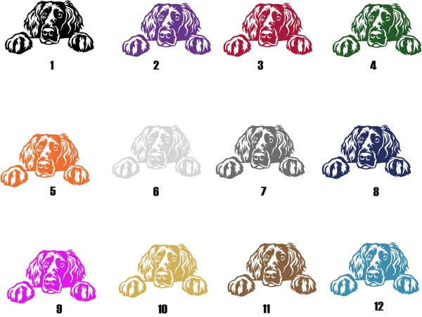 Autoaufkleber "Boykin Spaniel" Kopf