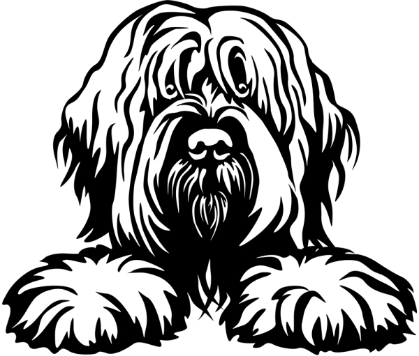 Aufkleber Briard