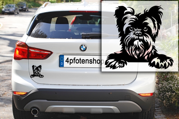 Autoaufkleber "Affenpinscher" Kopf