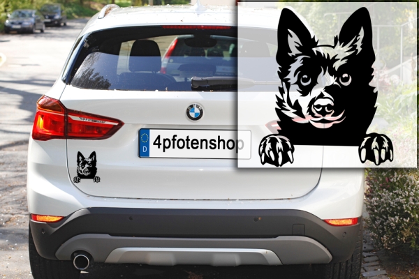 Autoaufkleber "Schipperke" Kopf