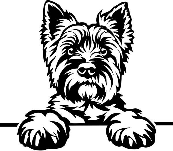 Aufkleber Cairn Terrier Kopf