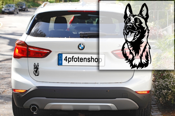 Autoaufkleber "Malinois" Kopf