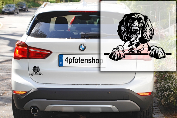 Autoaufkleber "Englischer Springer Spaniel" Kopf