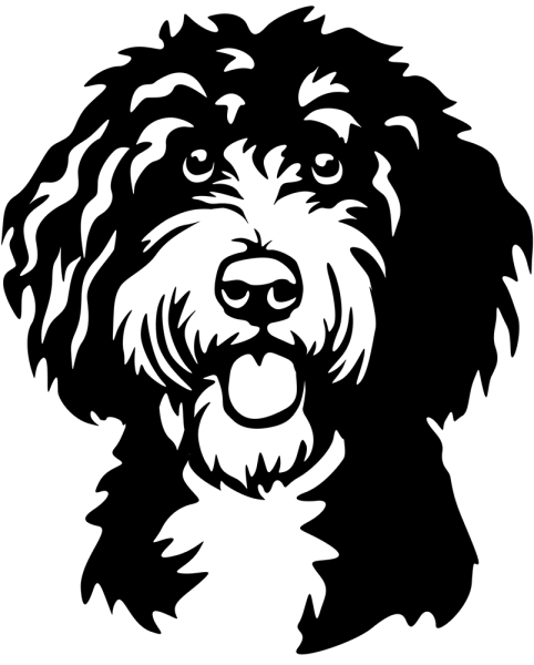 Aufkleber Sheepadoodle Kopf