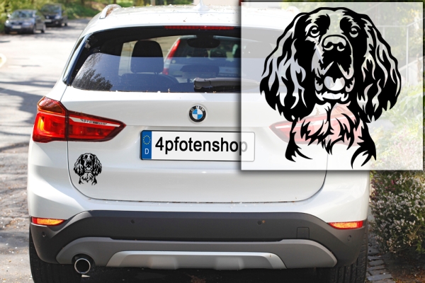 Autoaufkleber "Englischer Springer Spaniel" Kopf