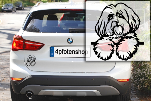 Autoaufkleber "Coton de Tulear" Kopf