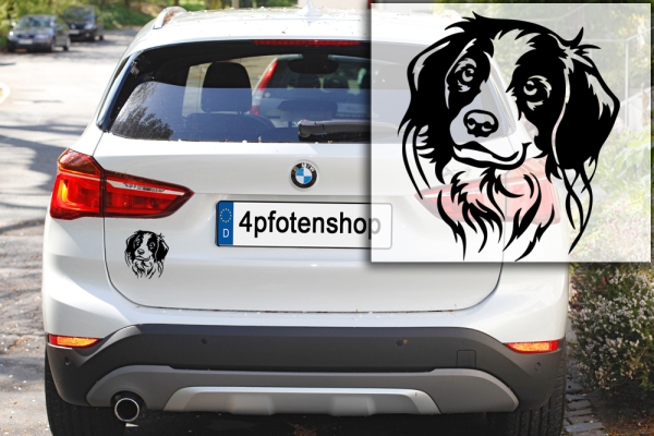 Autoaufkleber "Kooikerhondje" Kopf