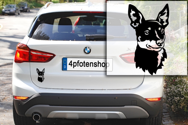 Autoaufkleber "Zwergpinscher" Kopf