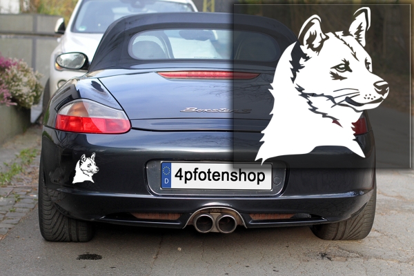 Autoaufkleber "Shiba" Kopf