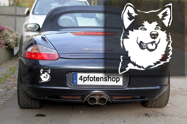 Autoaufkleber "Akita" Kopf