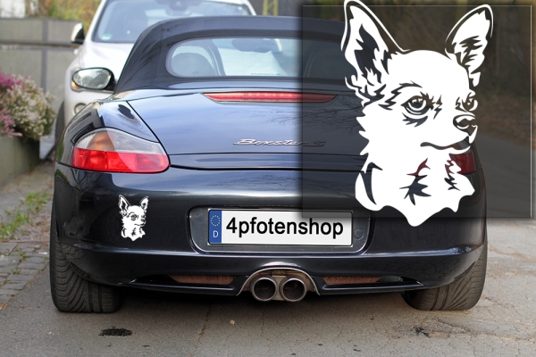 Autoaufkleber "Chihuahua" Kopf