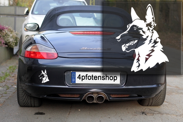 Autoaufkleber "Malinois" Kopf