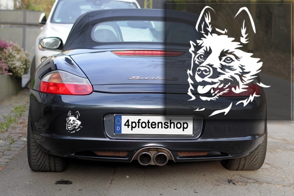 Autoaufkleber "Schipperke" Kopf