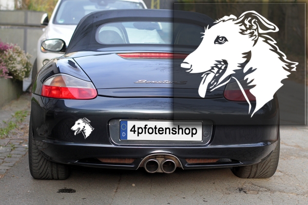 Autoaufkleber "Galgo (Rauhhaar)" Kopf