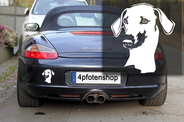 Autoaufkleber "Sloughi" Kopf