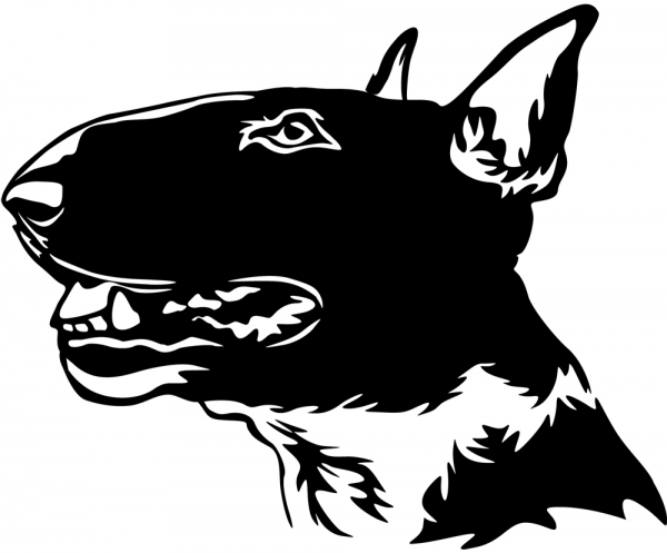 Aufkleber Bullterrier Kopf