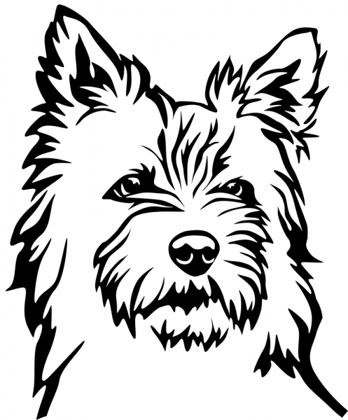 Aufkleber Cairn Terrier Kopf