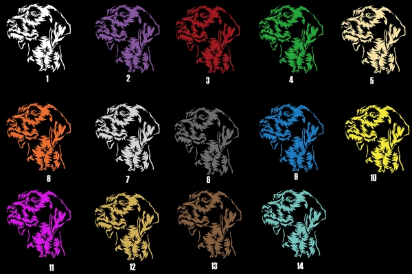 Autoaufkleber "Deutsch Drahthaar" Kopf