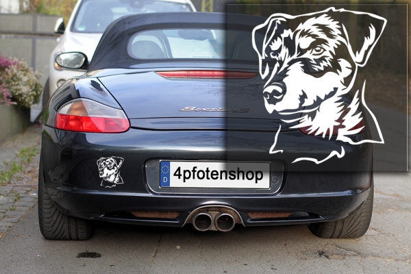 Autoaufkleber "Deutscher Jagdterrier" Kopf