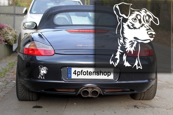 Autoaufkleber "Deutscher Pinscher" Kopf