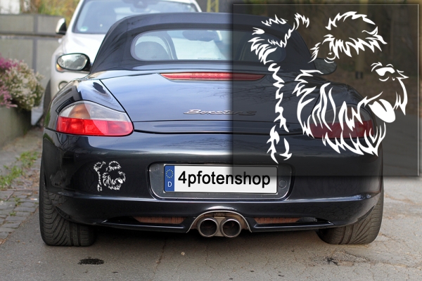 Autoaufkleber "Zwergschnauzer" Kopf