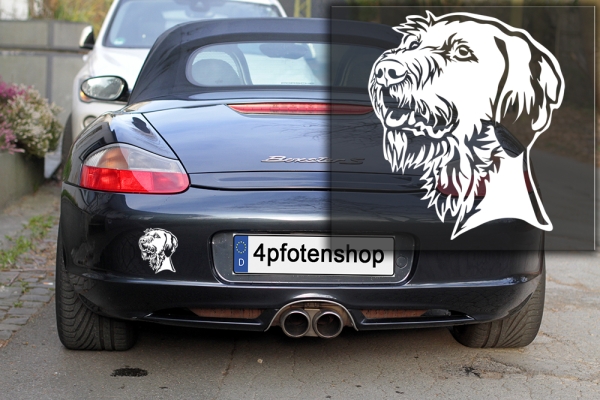 Autoaufkleber "Magyar Vizsla (Drahthaar)" Kopf