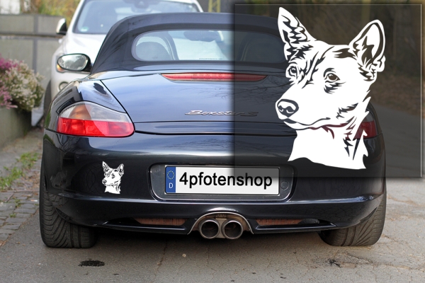 Autoaufkleber "Basenji" Kopf