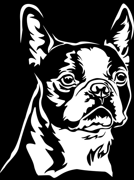 Aufkleber Boston Terrier Kopf